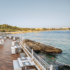 Utopia Hotels & Resorts