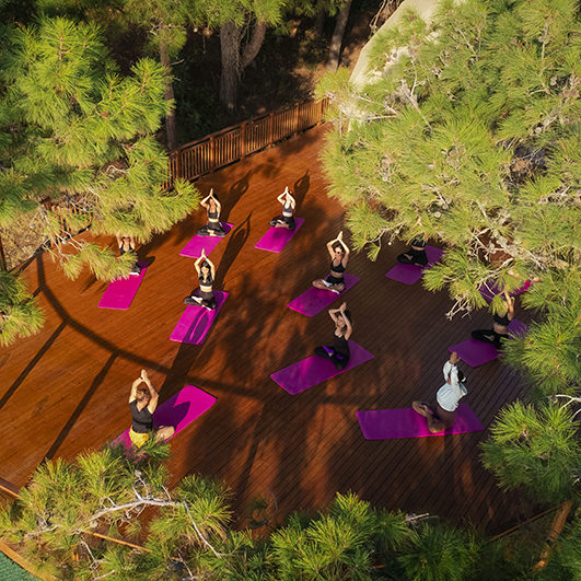 Utopia Hotels & Resorts