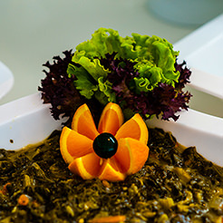 Utopia Hotels & Resorts