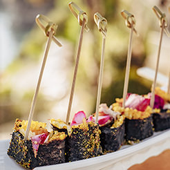 Utopia Hotels & Resorts