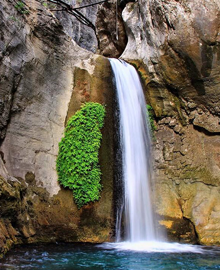 Utopia Hotels & Resorts