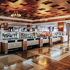 Utopia Hotels & Resorts