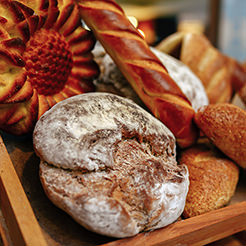 Utopia Hotels & Resorts